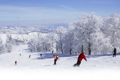 Nozawa Skiing