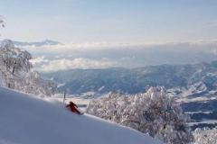 Nozawa Powder